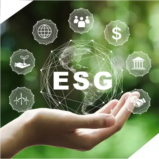ESG About