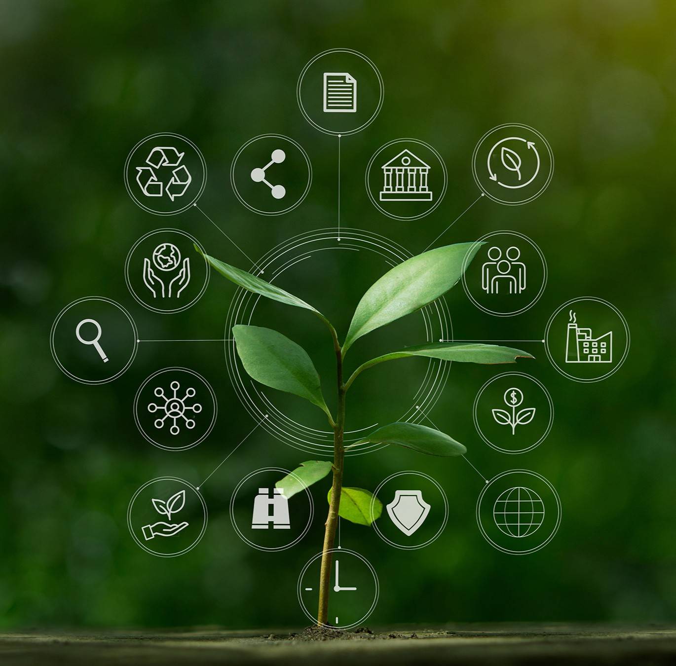 ESG icon concept with small tree for environmental, social, and governance in sustainable and ethical business on the Network connection on a green background.
